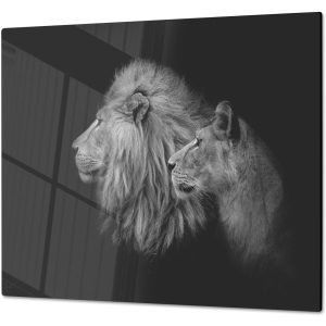 Inductiebeschermer - Gehard Glas - Leeuwen in zwart/wit