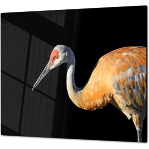 Inductiebeschermer - Gehard Glas - Canadese Kraanvogel