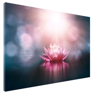 Metaal Bord - Memobord - Whiteboard - Magneetbord - Lotus bloem